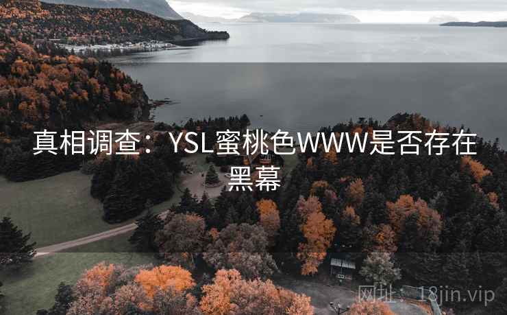 真相调查:YSL蜜桃色WWW是否存在黑幕